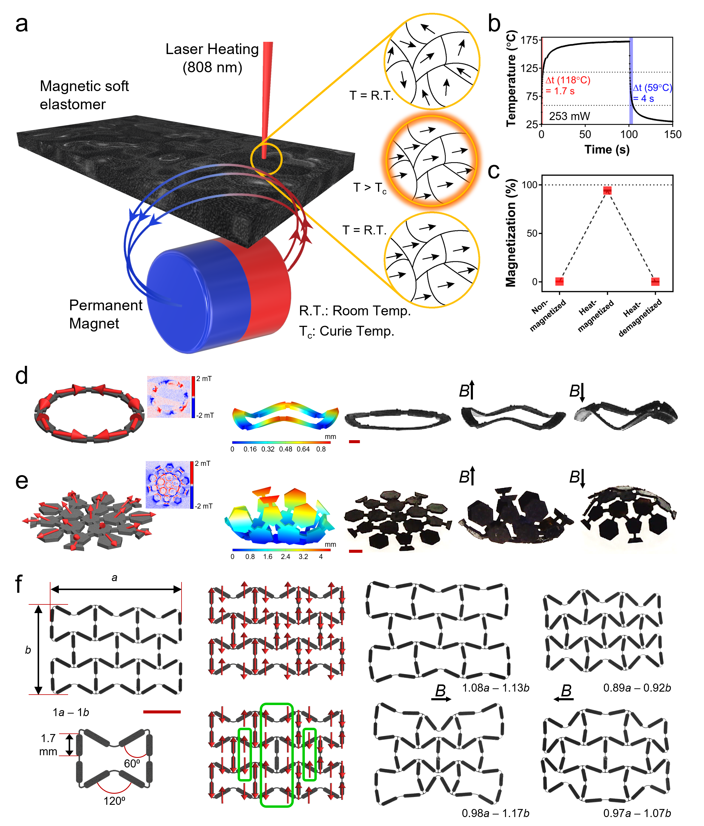 Pic 2 programmable magnetic soft materials