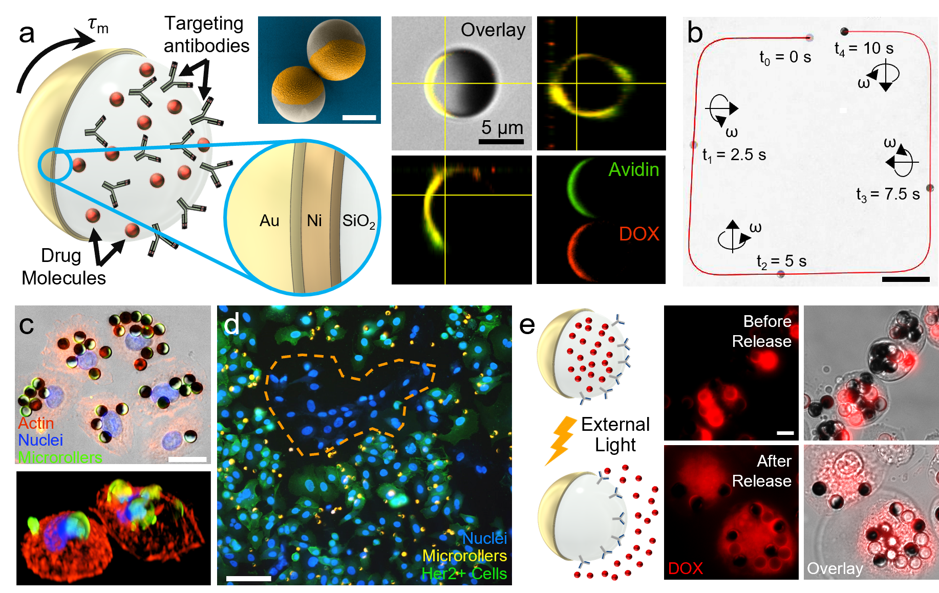 magnetic microrobots